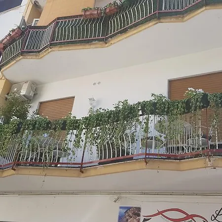 Flower Guest house